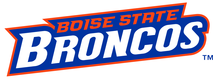 Boise State Broncos 2012-2013 Wordmark Logo v2 DIY iron on transfer (heat transfer)